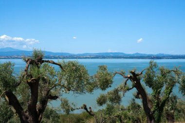 Torricella ve Monte del Lago yakınlarındaki Trasimeno Gölü, Perugia, Umbria, İtalya