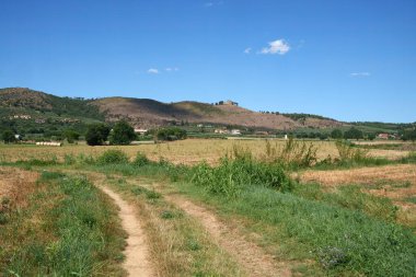 Yazın Trasimeno Gölü 'nden Cortona, Arezzo ili, Toskana, İtalya' ya kadar kırsal alan boyunca uzanır.