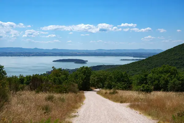 Passignano sul Trasimeno yakınlarındaki kırsal alan, Perugia ili, Umbria, İtalya, yaz mevsiminde