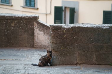 Cortona 'nın tarihi binaları, Arezzo ili, Toskana, İtalya