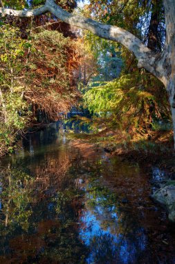 Parco Sempione, Milano, Lombardy, İtalya 'da halk parkı, Kasım ayında