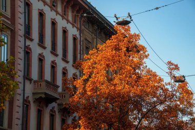 Ortaçağ Castello Sforzesco 'sunun önündeki tarihi binalar, Milano, Lombardiya, İtalya' daki şato