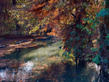 Kasım ayında İtalya 'nın Milano kentinde Parco Sempione olarak bilinen halk parkı.