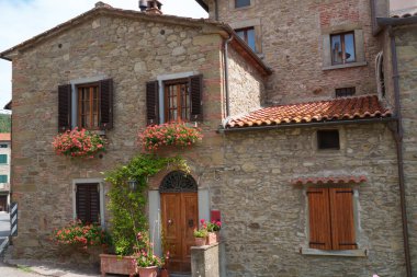 Arezzo, Tuscany, İtalya yakınlarındaki Palazzo del Pero 'da eski bir ev. Bitkiler ve çiçeklerle dolu.