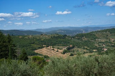 Yaz aylarında Arezzo, Toskana, İtalya yakınlarındaki kır manzarası