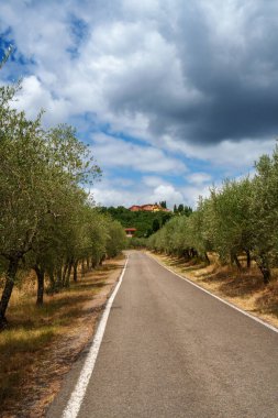 Figür Valdarno yakınlarındaki kırsal alan, Firenze ili, Toskana, İtalya
