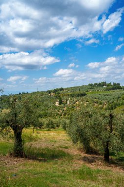 Yazın İtalya 'nın Toskana eyaletinin Chianti kentinin kırsal manzarası