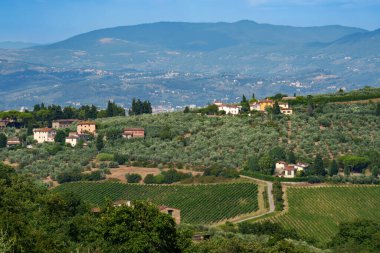 Yazın İtalya 'nın Toskana eyaletinin Chianti kentinin kırsal manzarası