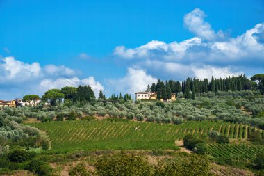 Yazın İtalya, Toskana, Floransa, Chianti 'nin kırsal manzarası