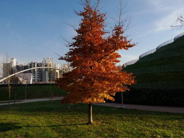 Portello Modern Parkı, Milano, Lombardy, İtalya, Aralık ayında