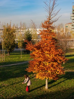 Modern park of Portello in Milan, Lombardy, Italy, at December clipart