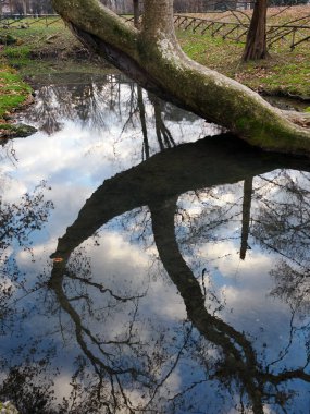 Sempione park in Milan, Lombardy, Italy, at December clipart