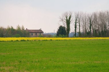 İlkbaharda Lomagna ve Valaperta, Brianza, Lecco, Lombardy, İtalya yakınlarındaki kırsal alan.