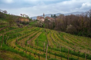 Mart ayında İtalya 'nın Lombardiya eyaletindeki Curone ve Montevecchia parkındaki Brianza kırsal arazisi