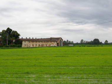San Giorgio di Lomellina yakınlarındaki kırsal alan, Pavia ili, Lombardy, İtalya. Çiftlik ve pirinç tarlaları
