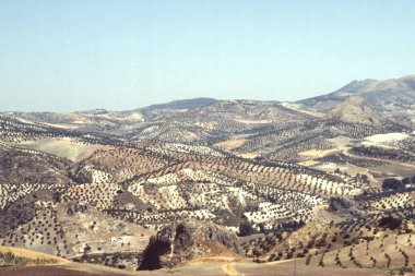 Olvera 'nın panoramik manzarası, Endülüs bölgesi, İspanya