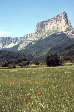 Yazın Col de la Croix-Haute, Auvergne-Rhone-Alpes, Fransa 'ya giden yoldaki dağ manzarası.