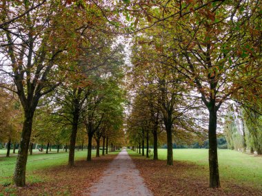 Parco Nord, Eylül ayında Milano, Lombardy, İtalya 'da halka açık bir park.