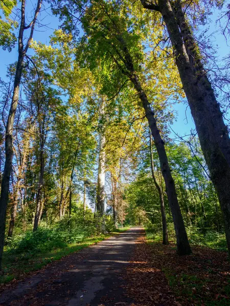 Eylül 'de Monza Parkı, Brianza, Lombardy, İtalya