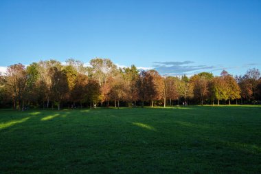 Parco Nord, Milano 'daki halk parkı, Lombardy, İtalya