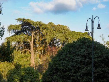 Parco Sempione, Milano, Lombardy, İtalya 'da sonbaharda halk parkı