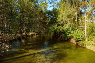 Lambro nehri Monza parkında, Brianza, Lombardy, İtalya, Ekim ayında