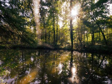 Monza Parkı, Brianza, Lombardy, İtalya 'da Ekim ayında