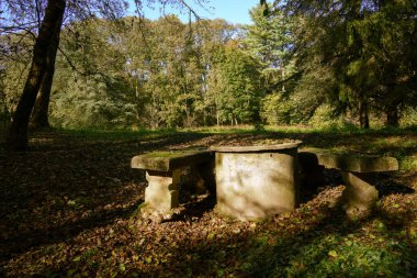 Monza parkındaki ağaçlar, Brianza, Lombardy, İtalya, Ekim 'de