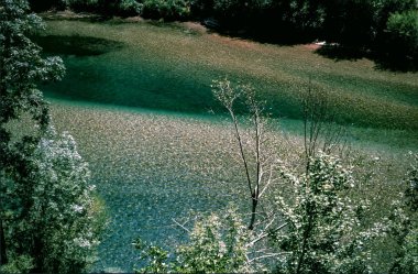 Gorges du Tarn, Occitanie bölgesindeki kanyon, Fransa