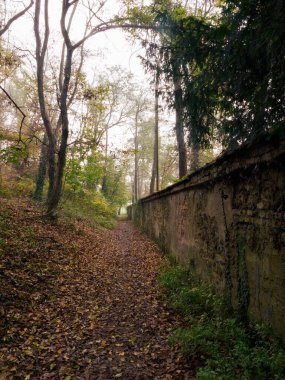 Monza Parkı 'nın yolu, Brianza, Lombardy, İtalya, Kasım ayında