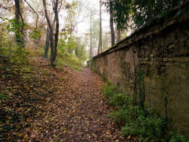 Monza Parkı 'nın yolu, Brianza, Lombardy, İtalya, Kasım ayında