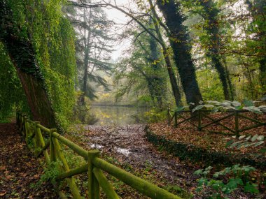 Monza Parkı 'nın yolu, Brianza, Lombardy, İtalya, Kasım ayında