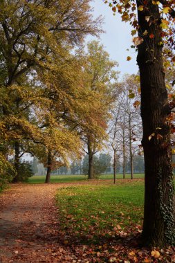 Monza Parkı 'nın yolu, Brianza, Lombardy, İtalya, Kasım ayında
