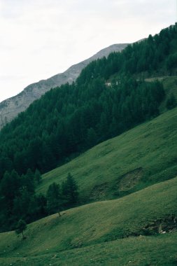 Col d Allos, Alpes de Haute Provence, Provence-Alpes Cote d Azur yolu boyunca uzanan dağ manzarası.