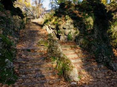 Giardini Montanelli, Milano, Lombardy, İtalya 'daki halk parkı, Kasım ayında.