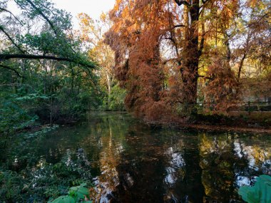 Giardini Montanelli, Milano, Lombardy, İtalya 'daki halk parkı, Kasım ayında.