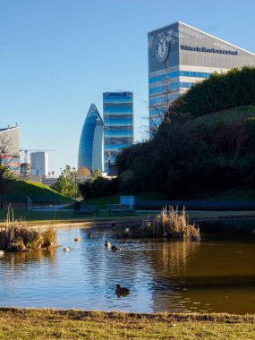 İtalya, Lombardy, Milan 'daki Portello parkındaki su kuşları.
