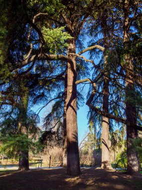 Parco Sempione, İtalya 'nın Milano kentindeki tarihi park, kışın