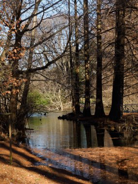 Parco Sempione, İtalya 'nın Milano kentindeki tarihi park, kışın