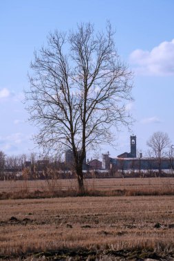 Tainate ve Noviglio yakınlarındaki kırsal alan, Milan, Lombardy, İtalya, kışın