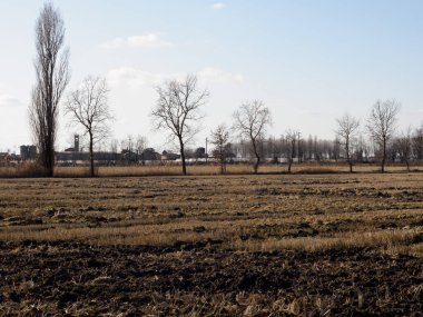 Tainate ve Noviglio yakınlarındaki kırsal alan, Milan, Lombardy, İtalya, kışın