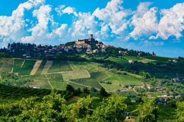 Oltrepo Pavese 'nin üzüm bağları, Pavia ili, Lombardy, İtalya, yaz mevsiminde
