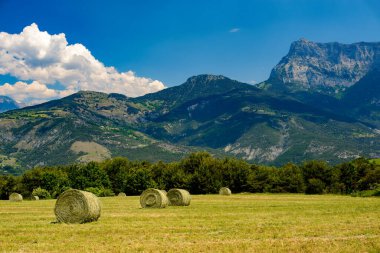 Kırsal manzara Bahar adlı Durance Valley (Alpes-de-Haute-Provence, Provence-Alpes-Cote d'Azur, Fransa)