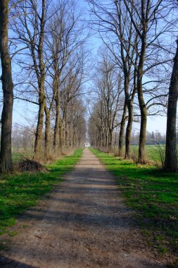 Mart ayında Monza Parkı, Brianza, Lombardy, İtalya