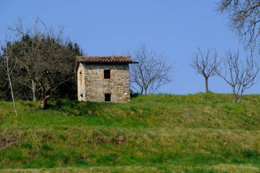 Mart ayında İtalya, Lombardiya 'daki Colle Brianza' ya giden yol boyunca manzara