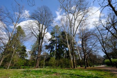 Parco Sempione, İtalya 'nın Milano kentindeki tarihi park, Mart ayında