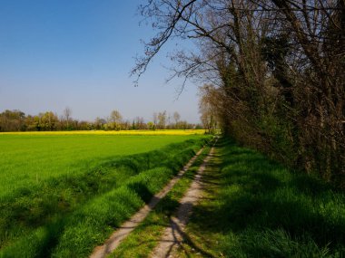 Marne, Brembate yakınlarındaki tarihi köy, Bergamo ili, Lombardy, İtalya, baharda