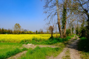 Marne, Brembate yakınlarındaki tarihi köy, Bergamo ili, Lombardy, İtalya, baharda