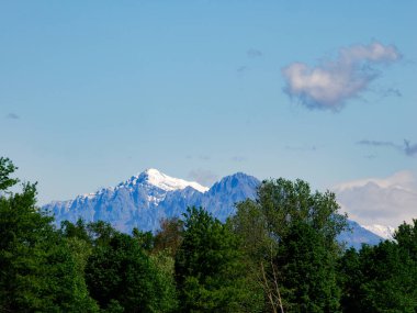 Nisan ayında Monza Parkı 'nın yolu, Brianza, Lombardy, İtalya