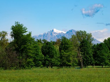 Nisan ayında Monza Parkı 'nın yolu, Brianza, Lombardy, İtalya
